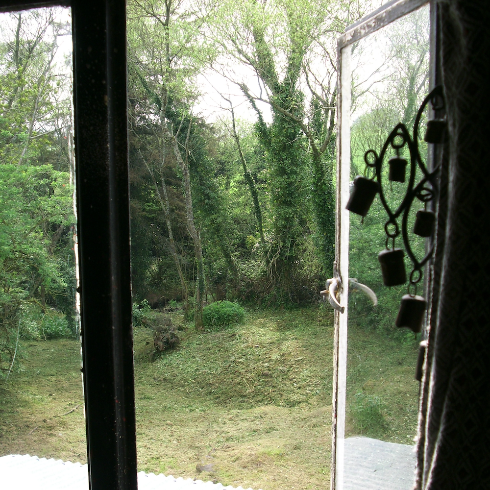 Artwork for Birdos by Sreu - spring-inspired music with birdsong themes