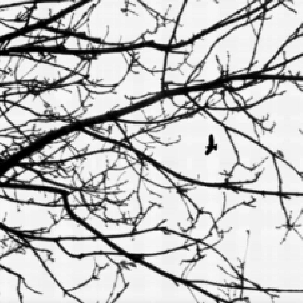 Artwork for Crosis by Sreu - atmospheric speculatory music with themes of intelligent skies